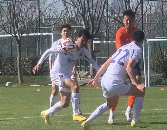 国产免费又黄又爽