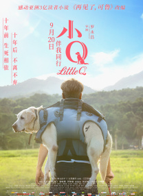 msi下载