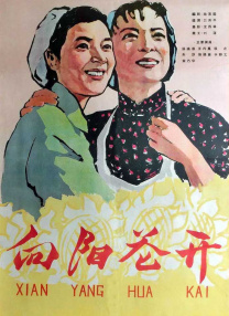 美女全身视频